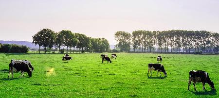 尊龙凯时首页大图3